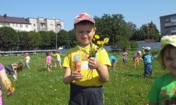 Собираем букеты полевых цветов.